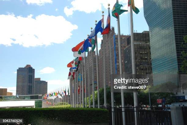 picture of united nations flags.  photo taken friday may 23, 2008. - 平和安全保障委員会 ストックフォトと画像