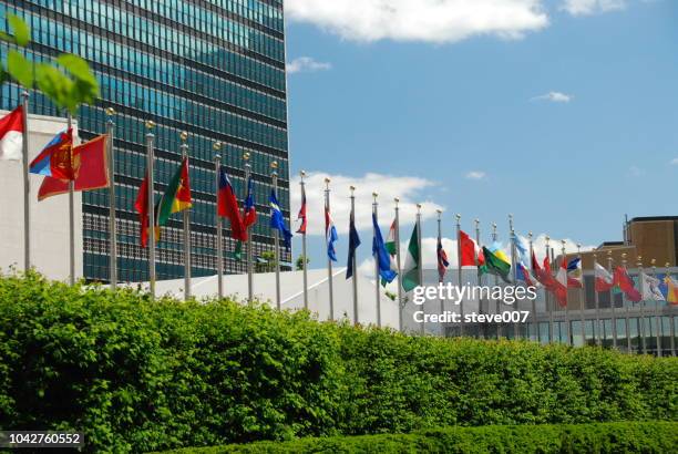 picture of united nations flags.  photo taken friday may 23, 2008. - 平和安全保障委員会 ストックフォトと画像