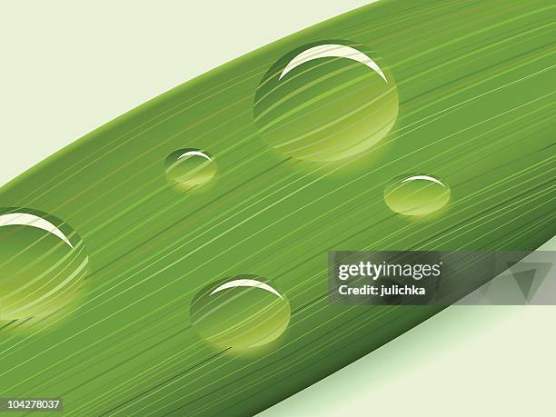 dew - refraction vector stock illustrations