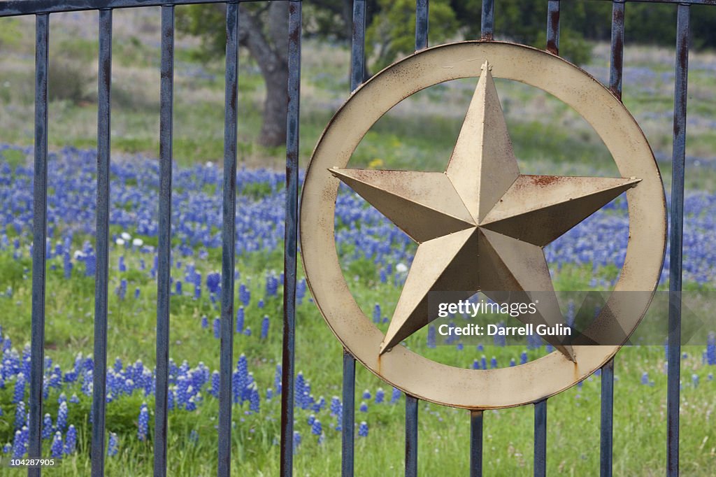 Fence with Lone Star symbol of Texas Springtime 