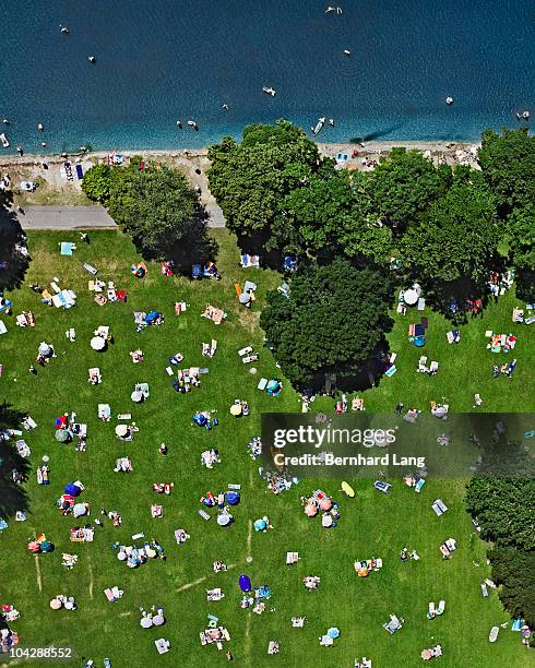 sunbathers on meadow next to lake - sunbathing aerial stock pictures, royalty-free photos & images