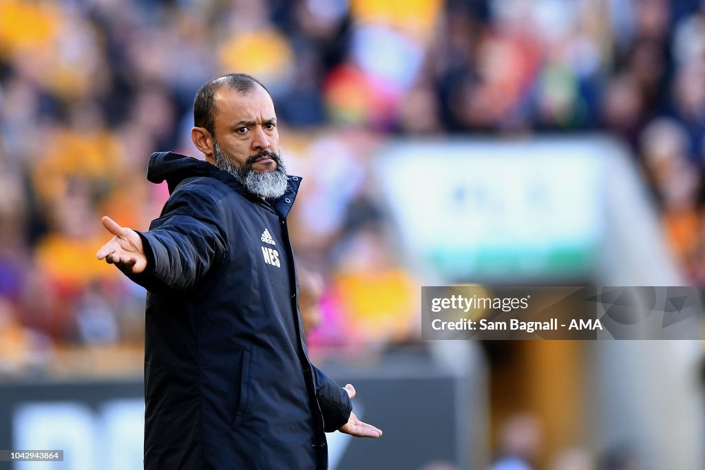 Wolverhampton Wanderers v Southampton FC - Premier League