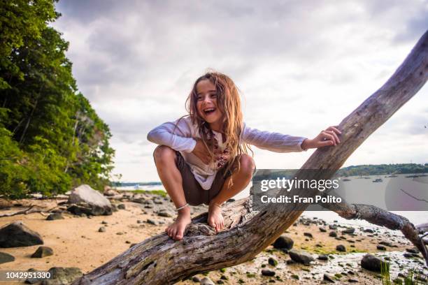 a girl playing in a tree. - kinder klettern stock-fotos und bilder