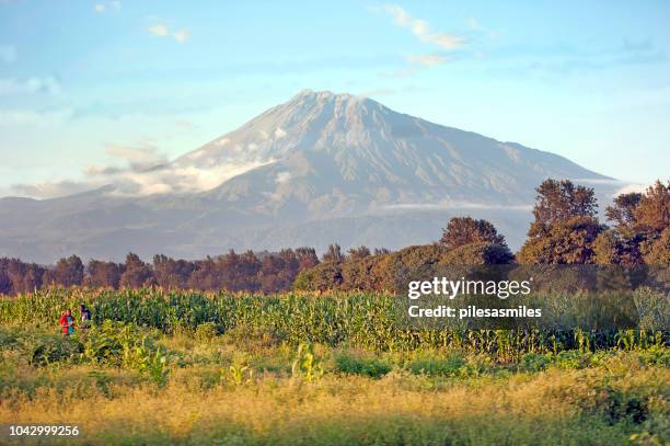 mount meru and agriculture, arusha, tanzania, africa - mount meru stock pictures, royalty-free photos & images