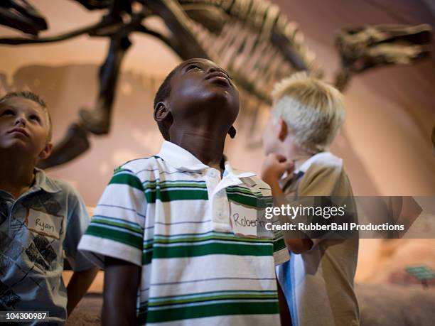 usa, utah, lehi, boys (6-9) in museum of dinosaurs - dinosaur bones stock pictures, royalty-free photos & images