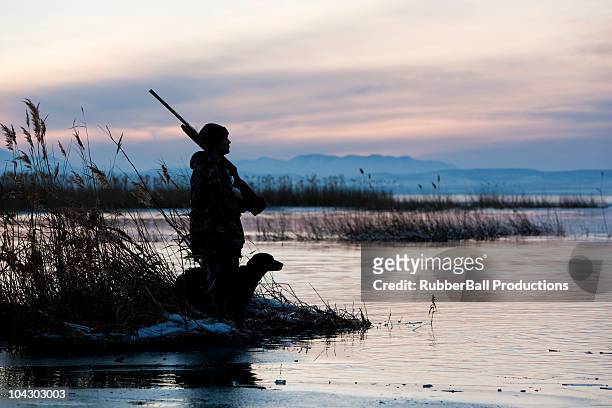 man and his dog duck hunting - springville utah stock pictures, royalty-free photos & images