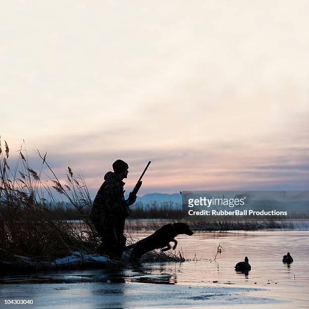 man out hunting with his dog - springville utah stock pictures, royalty-free photos & images