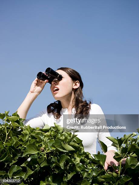 woman looking over a hedge with binoculars - nosy woman stock pictures, royalty-free photos & images