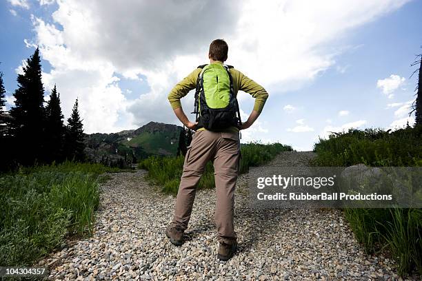 hiker choosing which path to take - alta utah stock pictures, royalty-free photos & images