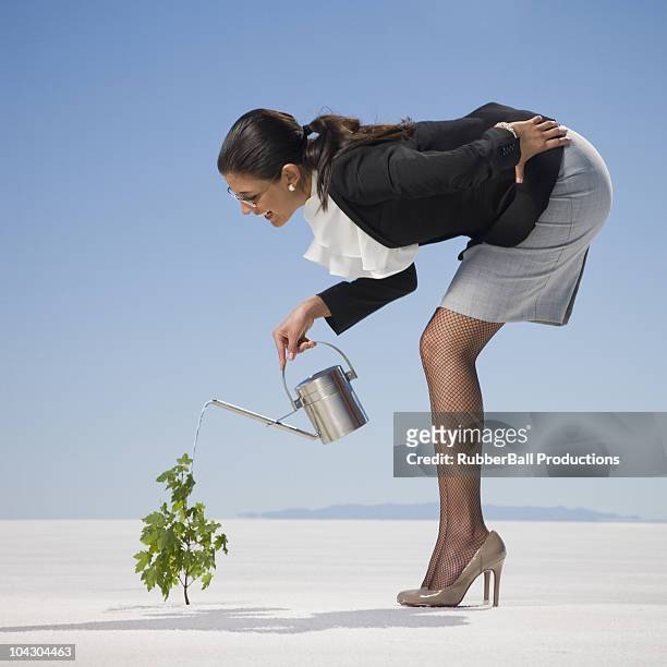 geschäftsfrau gießen einer pflanze in der wüste - bending over in skirt stock-fotos und bilder