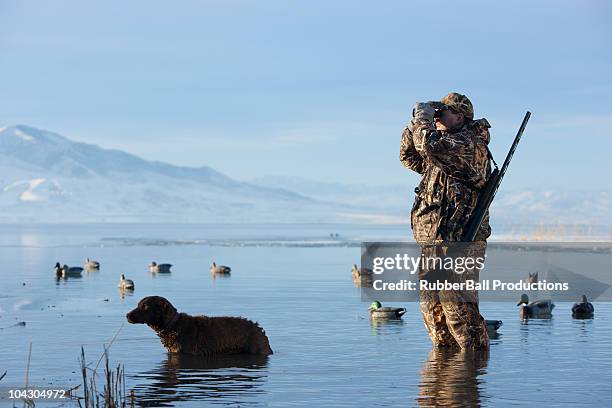 man out hunting - springville utah stock pictures, royalty-free photos & images