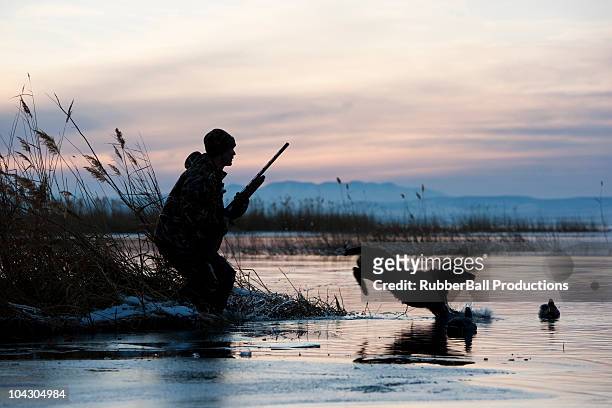 man out hunting - duck stock pictures, royalty-free photos & images