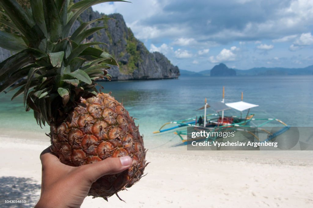 Pineapple (Ananas) fruit, tropical lagoon, Philippines