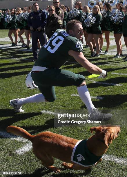 Matt Dotson of the Michigan State Spartans throws a frisbee for Zeke the wonder dog after a 31-20 win over the Central Michigan Chippewas at Spartan...