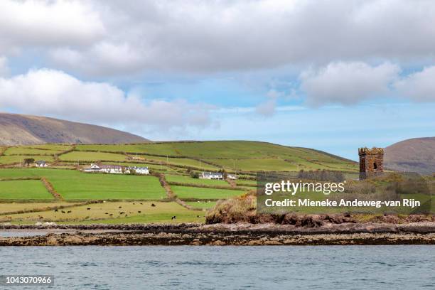 old stone watch tower on dingle bay, dingle, county kerry, ireland - dingle town stock pictures, royalty-free photos & images