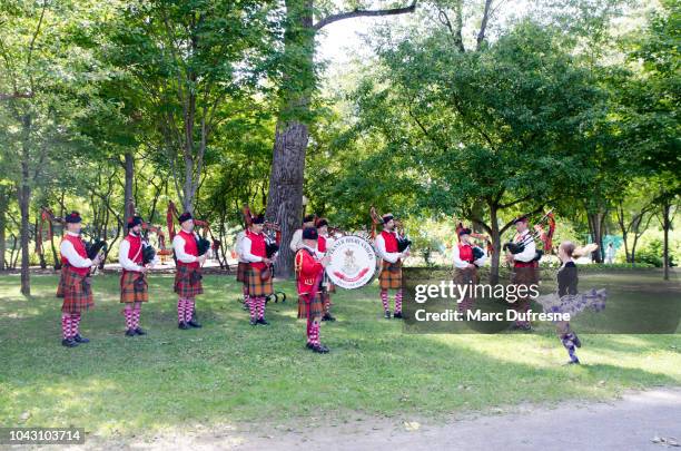 irish musical fanfare and a woman dancing during summer day at the celtic festival of quebec city - woman kilt stock pictures, royalty-free photos & images