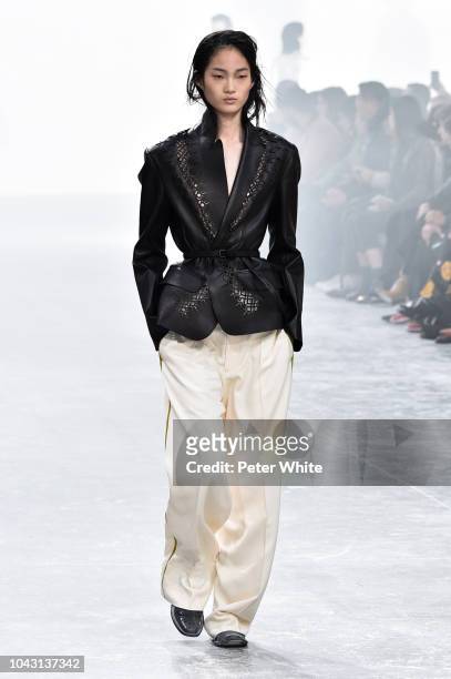Model walks the runway during the Haider Ackermann show as part of the Paris Fashion Week Womenswear Spring/Summer 2019 on September 29, 2018 in...