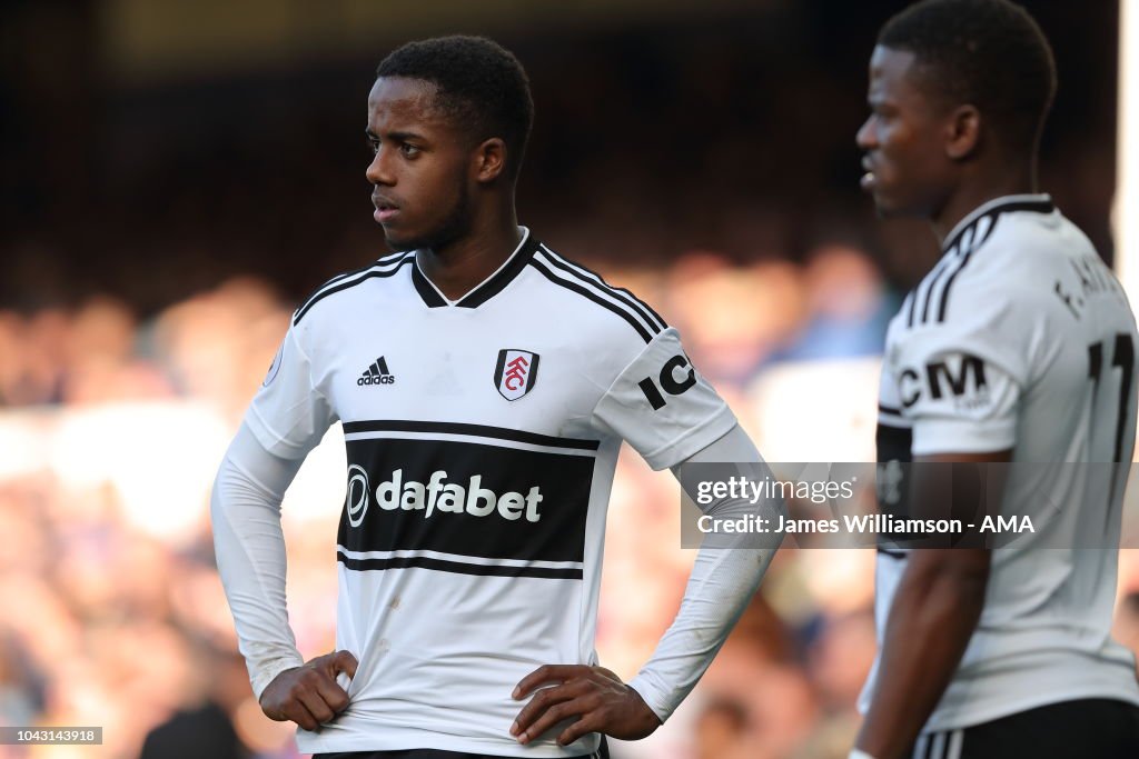 Everton FC v Fulham FC - Premier League