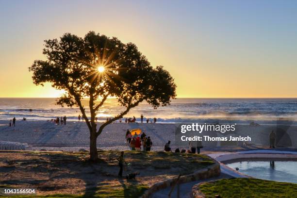 lively atmosphere at camps bay beach during sunset, cape town - camps bay stock-fotos und bilder