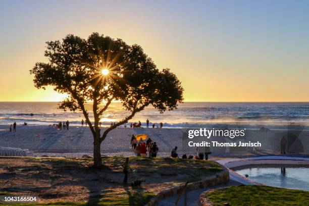 lively atmosphere at camps bay beach during sunset, cape town - camps bay stock pictures, royalty-free photos & images