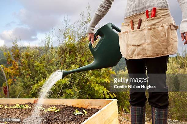 woman watering plants - watering can stock pictures, royalty-free photos & images