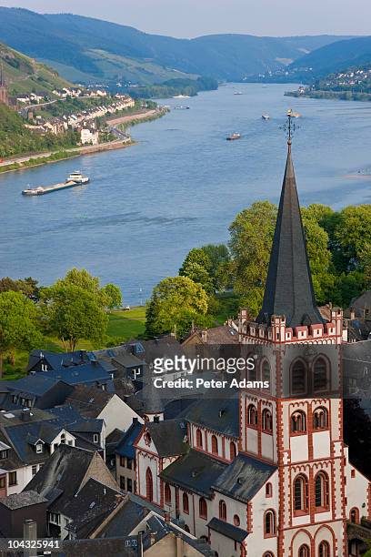 bacharach & river rhine, rhine valley, germany - bacharach stock pictures, royalty-free photos & images