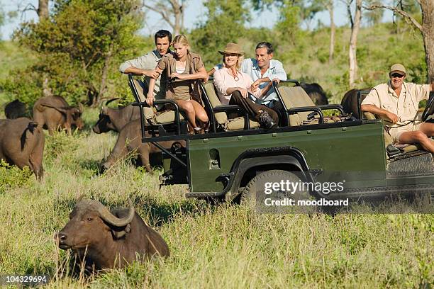 group of tourists in jeep looking at african buffaloes (syncerus caffer) - kruger national park stockfoto's en -beelden