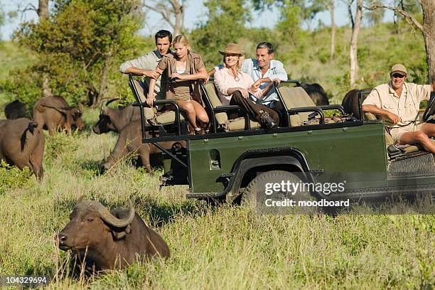 group of tourists in jeep looking at african buffaloes (syncerus caffer) - kruger national park stock pictures, royalty-free photos & images