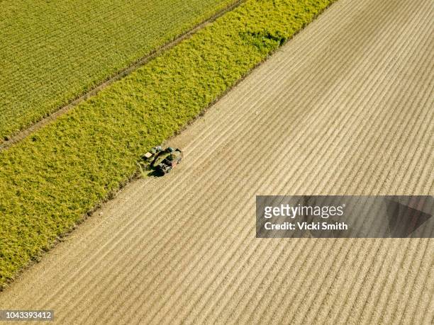 aerial view of australian cane fields being harvested - cana de acucar imagens e fotografias de stock