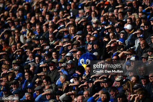 Cardiff City's mascot Bartley Bluebird watches the match from the stands during the Premier League match between Cardiff City and Burnley FC at...