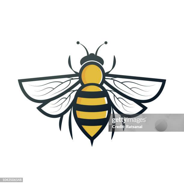 bee - bee flying stock illustrations