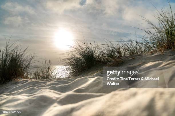 morning sun over sandy dunes and sea on the island sylt - wattenmeer national park stock pictures, royalty-free photos & images