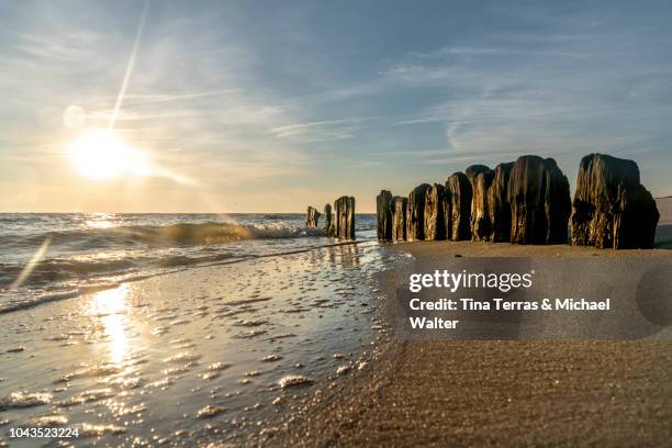 sunrise on the beach on the island of sylt in the north sea - wadden sea stock pictures, royalty-free photos & images