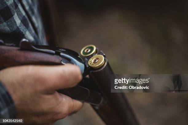doble balín pistola tiro - caza fotografías e imágenes de stock