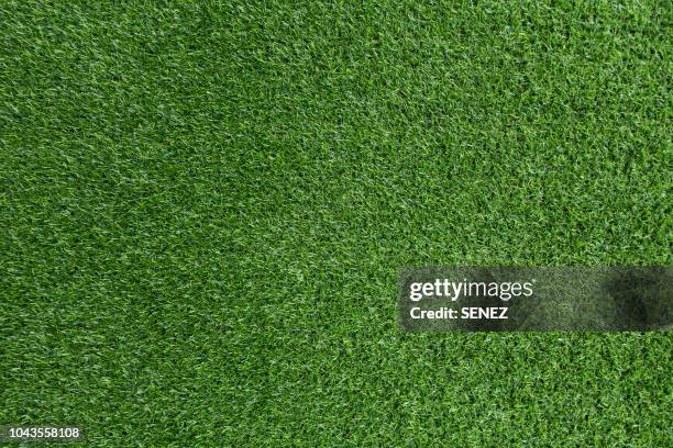 green grass background - ラグビー場 ストックフォトと画像