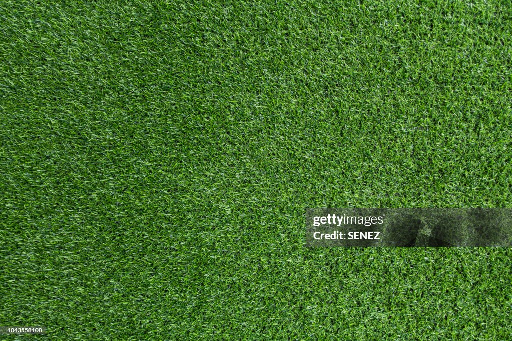 Green grass background
