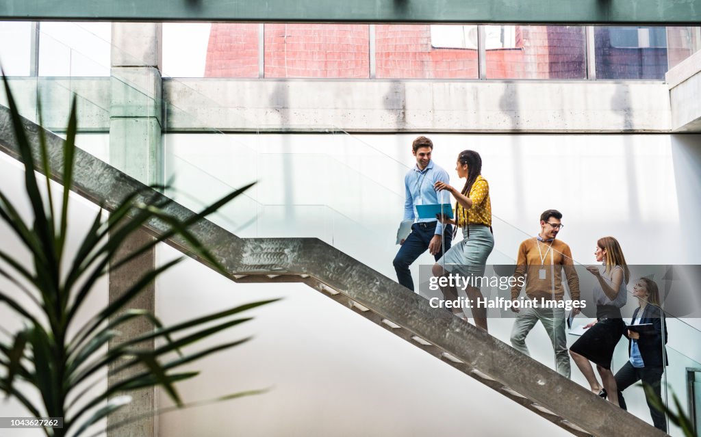 A group of businesspeople walking up the stairs in the modern building, talking.