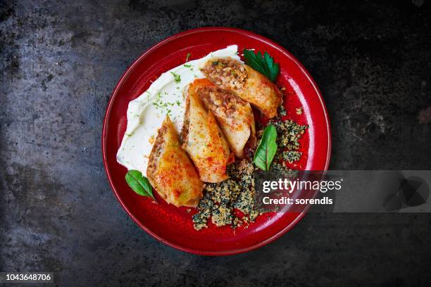 stuffed cabbage rolls - cabbage roll stock pictures, royalty-free photos & images