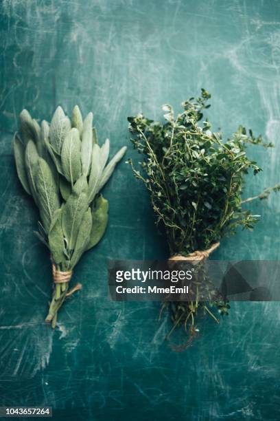 sage and oregano - herb stock pictures, royalty-free photos & images