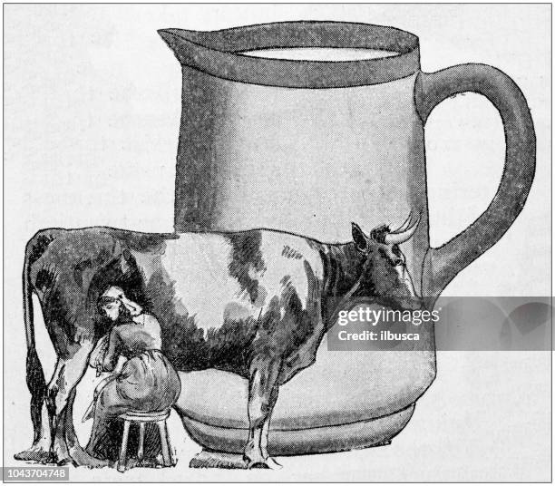 ilustrações de stock, clip art, desenhos animados e ícones de antique painting illustration: milk - milking