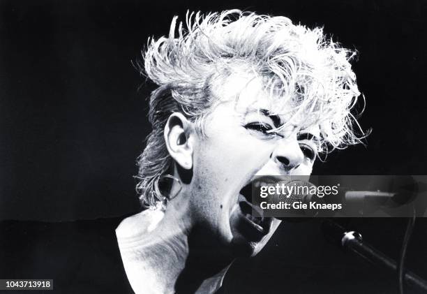 Stray Cats, Brian Setzer, Zaal Lux, Herenthout, Belgium, 18th April 1981.