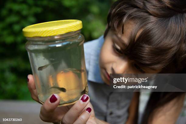 mother and son with tadpoles - tadpole stock pictures, royalty-free photos & images