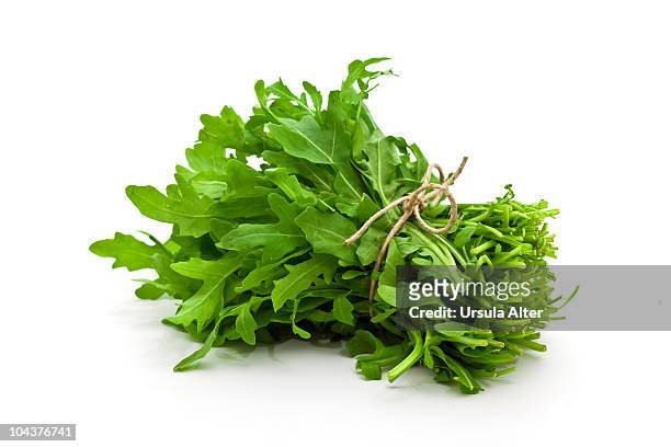 bunch of fresh arugula - arugula stock pictures, royalty-free photos & images