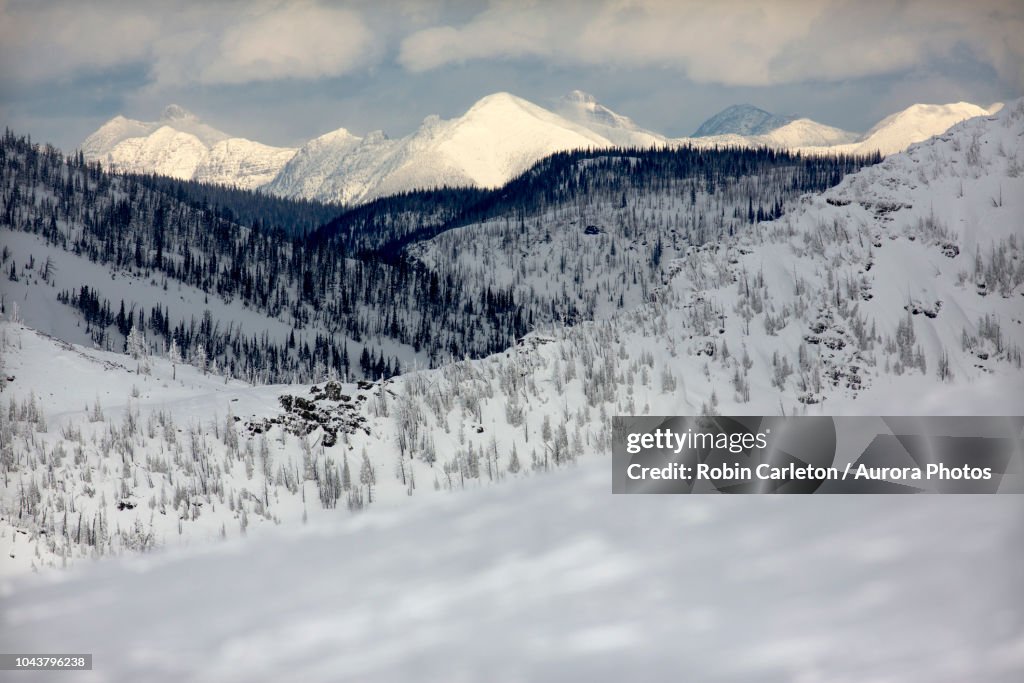 Peaks of Rattlesnake Mountains, Missoula, Montana