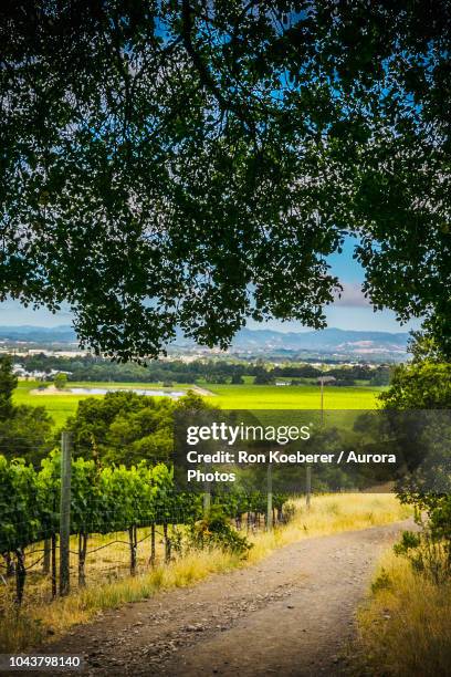 Shilo Ranch Oregon 16 Shiloh Ranch Stock Photos, High-Res Pictures, and Images - Getty Images