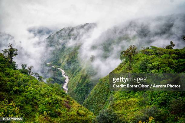 tranquil scene of river valley in clouds - costa rica stock-fotos und bilder