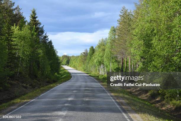 country road near ranua, finland - berk stockfoto's en -beelden