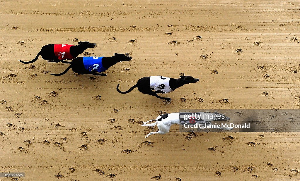 Greyhound Races at Romford