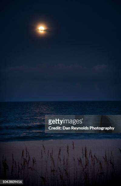 scenic view of sea against moon in sky at night - moon shore stock pictures, royalty-free photos & images