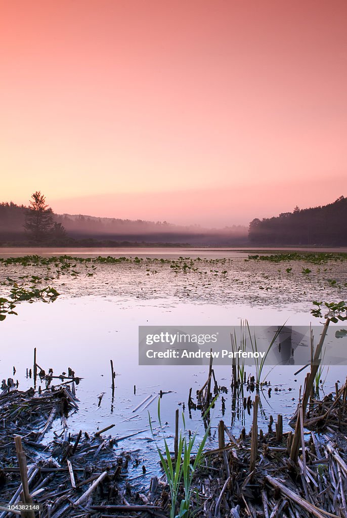 Black Moshannon State Park